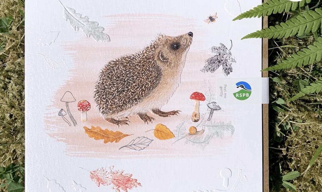 A greeting card featuring a pencil drawn and coloured hedgehog sniffing the air lays on the grass.