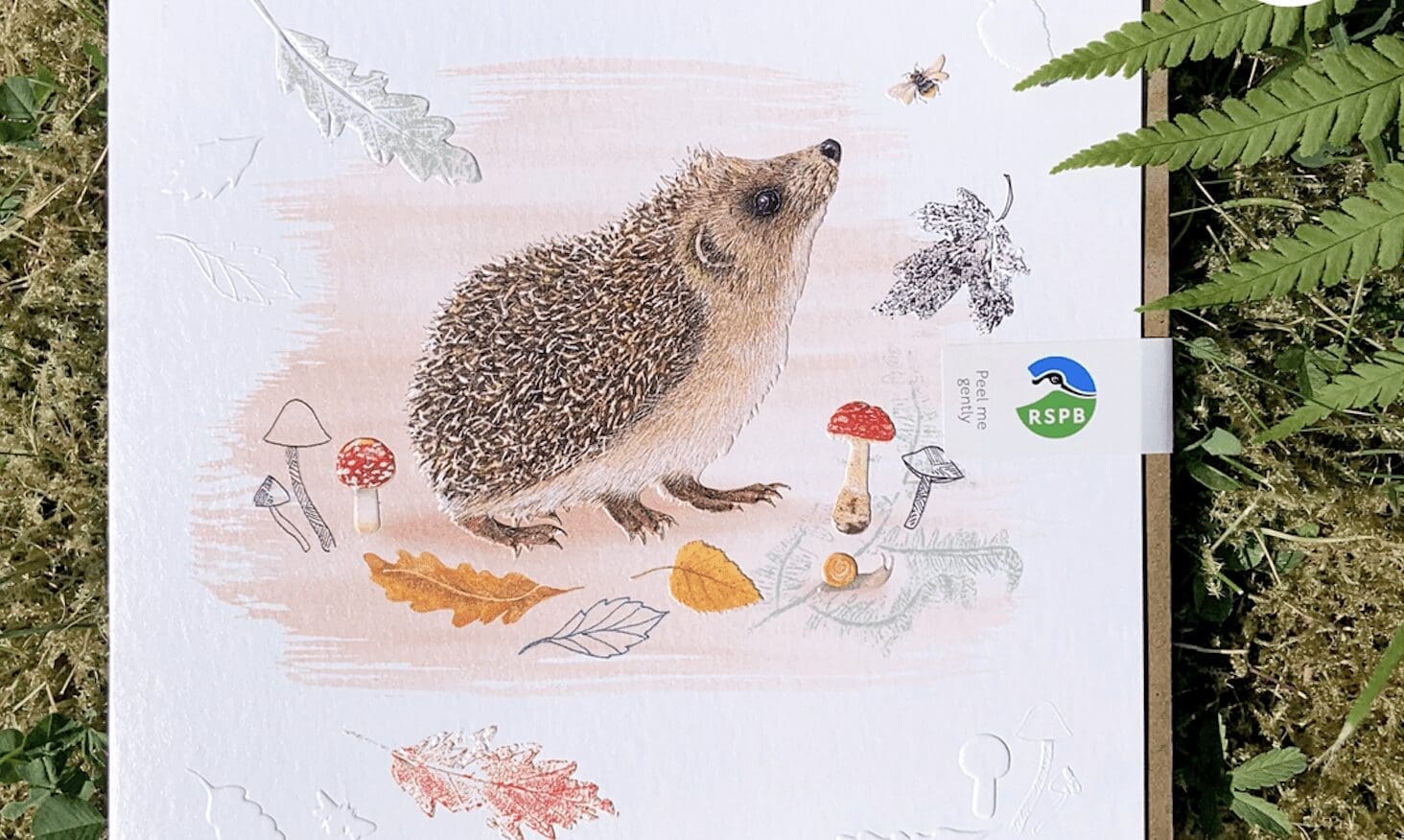 A greeting card featuring a pencil drawn and coloured hedgehog sniffing the air lays on the grass.