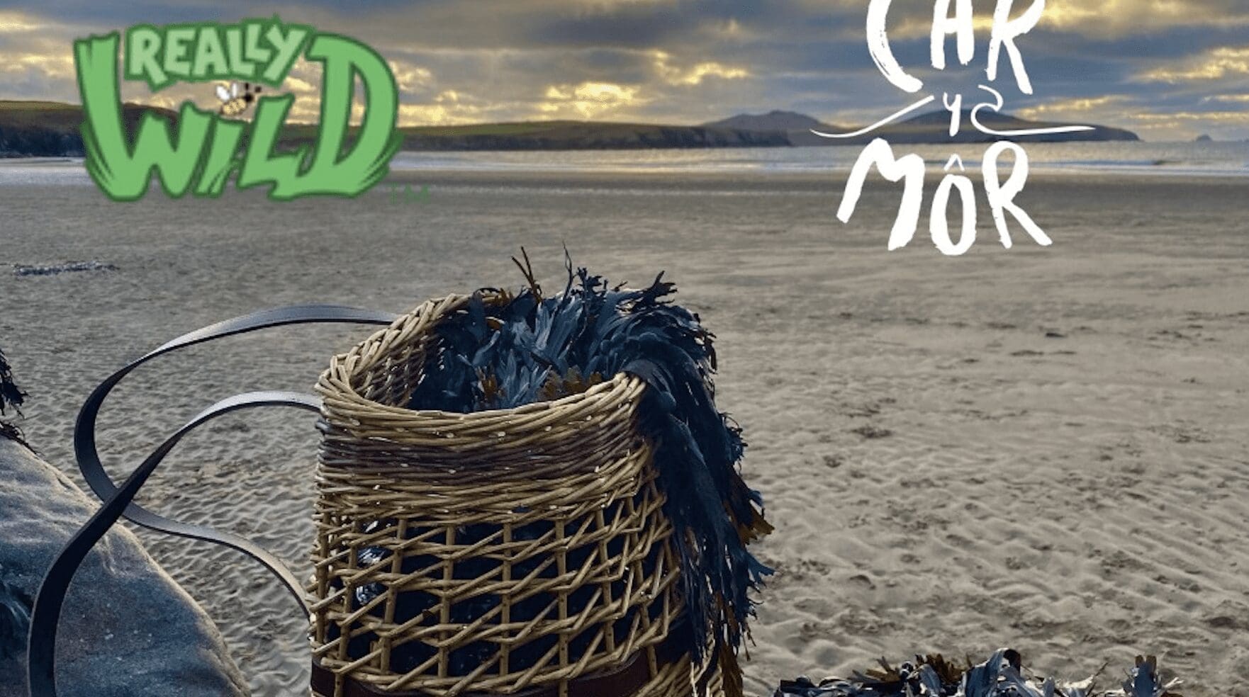 image of a beach at sunset with a wicker basket spilling with seaweed.