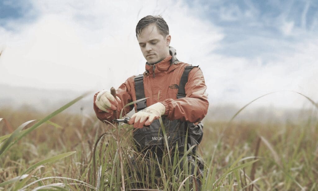 man stood among a marshland cultivating bulrushes to make BioPuff
