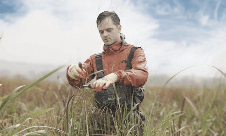 man stood among a marshland cultivating bulrushes to make BioPuff