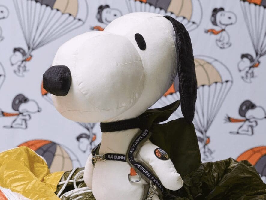 Snoopy wearing a parachute stood in front of a Snoopy graphic