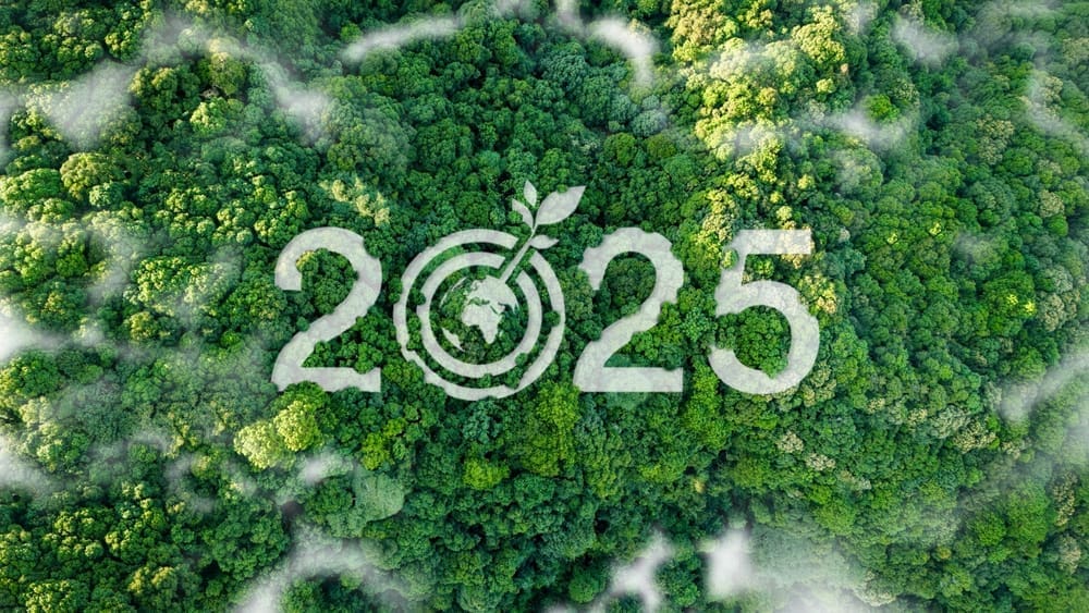 Forest from above with 2025 numbers over the top